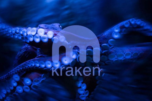 Kraken darknet зеркала